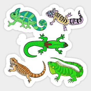 Lizard Party Sticker